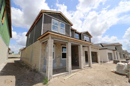 New construction Single-Family house 31835 Sapna Chime Drive, Wesley Chapel, FL 33545 Salinas- photo 49 49
