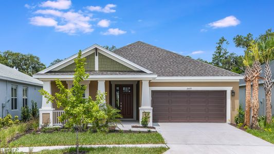 New construction Single-Family house 3402 James L Redman Parkway, Plant City, FL 33565 - photo 4 4