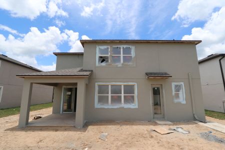 New construction Single-Family house 38433 Pindos Drive, Dade City, FL 33525 Mira Lago- photo 20 20