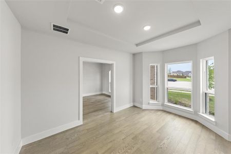 New construction Single-Family house 1801 Warhol Court, Frisco, TX 75036 Brentwood 3F (w/Media)- photo 12 12