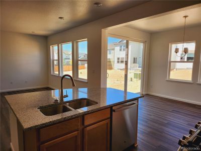 New construction Single-Family house 13385 Blue Amber Court, Parker, CO 80134 - photo 3 3