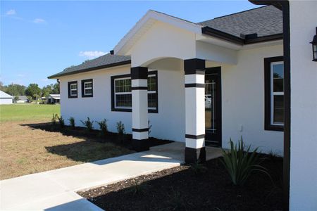 New construction Single-Family house 391 Sw 5Th Avenue, Williston, FL 32696 - photo