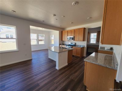 New construction Single-Family house 13385 Blue Amber Court, Parker, CO 80134 - photo 5 5
