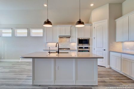 New construction Single-Family house 1591 Seekat Drive, New Braunfels, TX 78132 Premier Series - Palm- photo 10 10