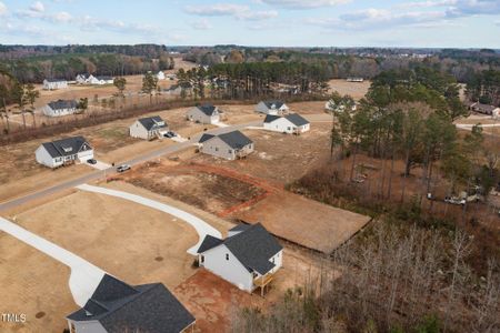 New construction Single-Family house 143 Andrews Landing, Wendell, NC 27591 - photo 22 22