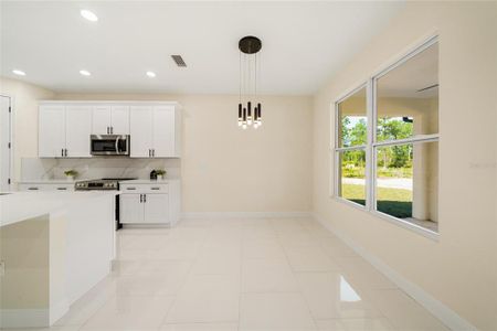 New construction Single-Family house 30309 Apricot Avenue, Eustis, FL 32736 - photo 24 24