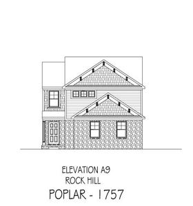 New construction Single-Family house 835 Peoria Lane, Rock Hill, SC 29730 - photo 3 3