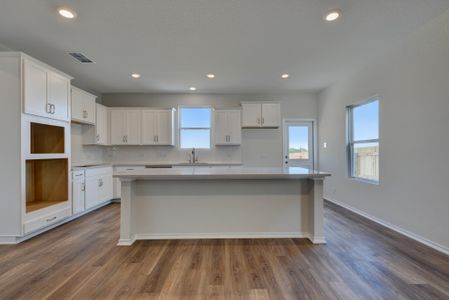 New construction Single-Family house 14743 Lower Pass, San Antonio, TX 78252 - photo 7 7