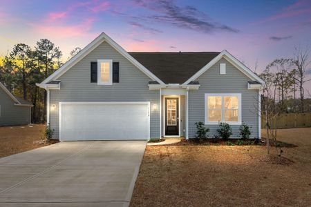 New construction Single-Family house 1190 Wading Point Boulevard, Huger, SC 29450 - photo 0