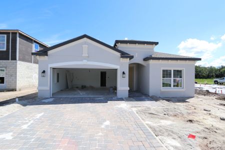 New construction Single-Family house 10712 New Morning Drive, Tampa, FL 33647 Madeira II- photo 0