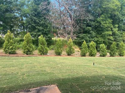 New construction Single-Family house 2233 Blue Sky Meadows Drive, Monroe, NC 28110 Woodruff- photo 15 15