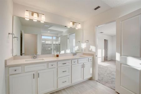 New construction Single-Family house 12918 Brookside Moss Drive, Riverview, FL 33578 - photo 27 27