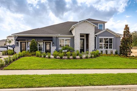 New construction Single-Family house 842 Creeping Fig Street, Apopka, FL 32703 Corina Xl - Eco Grand Series- photo 18 18