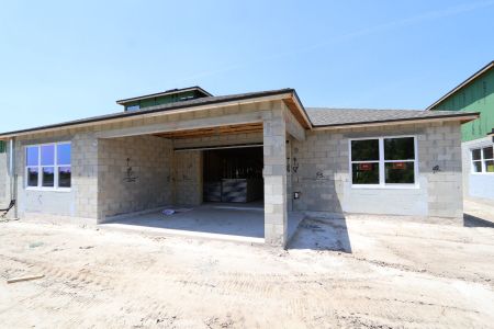 New construction Single-Family house 7746 Hemlock Seed Drive, Wesley Chapel, FL 33545 Corina  III Bonus- photo 19 19