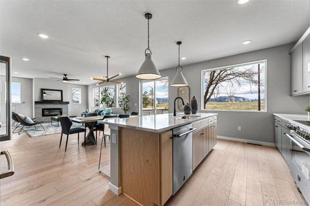 New construction Single-Family house 1033 Willow Place, Louisville, CO 80027 - photo 20 20