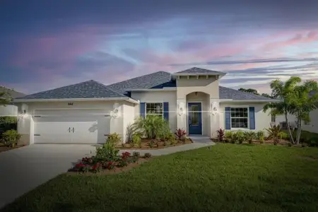 New construction Single-Family house 244 Sw Fernleaf Trail, Port Saint Lucie, FL 34953 - photo 0