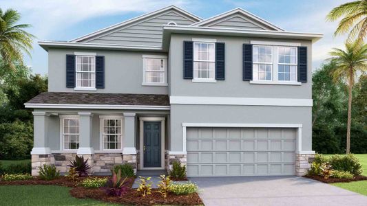 New construction Single-Family house Coral, 133 Mangrove Manor Drive, Apollo Beach, FL 33572 - photo