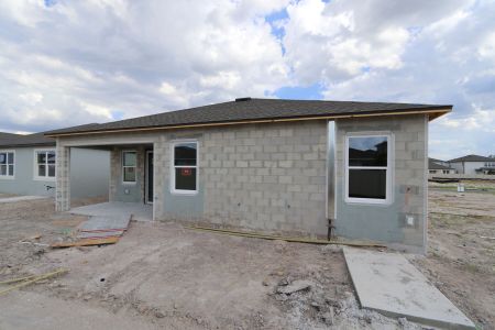 New construction Single-Family house 4837 Foxglove Circle, Lakeland, FL 33811 Picasso- photo 20 20