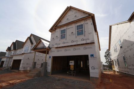 New construction Single-Family house 3051 June Lake Station, Apex, NC 27502 Viola - Premier Collection- photo 19