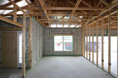 New construction Single-Family house 4837 Foxglove Circle, Lakeland, FL 33811 Picasso- photo 18 18