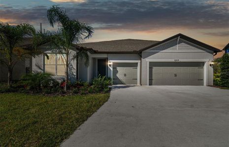 New construction Single-Family house 12071 Orchid Ash, Riverview, FL 33579 - photo 33 33