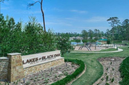 Lakes at Black Oak by Rausch Coleman Homes in Magnolia - photo 1 1