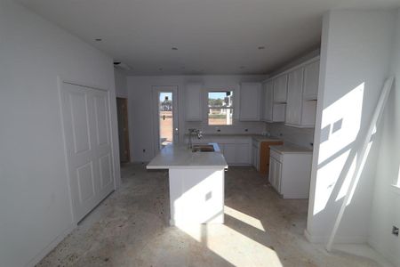 New construction Single-Family house 21706 Lime Moss Lane, Cypress, TX 77433 Capella- photo 4 4