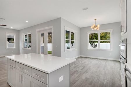 Wyoming Estates by DKV Tampa Homes in Tampa - photo 16 16
