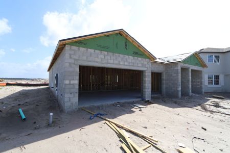 New construction Single-Family house 4778 Beachrose Way, Lakeland, FL 33811 Barcello- photo 20 20