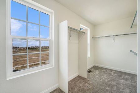 New construction Single-Family house 1508 Peach Avenue, Erie, CO 80516 Sassafras- photo 36 36