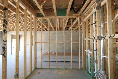 New construction Single-Family house 7754 Hemlock Seed Drive, Wesley Chapel, FL 33545 Sonoma II- photo 7 7