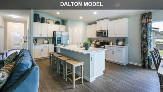 New construction Single-Family house Dalton, 30 Nervion Way, Saint Augustine, FL 32084 - photo