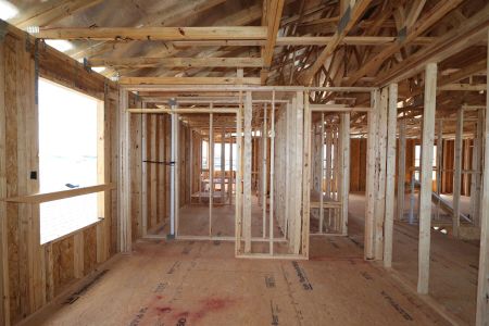New construction Single-Family house 32556 Sapna Chime Drive, Wesley Chapel, FL 33545 Dali- photo 23 23