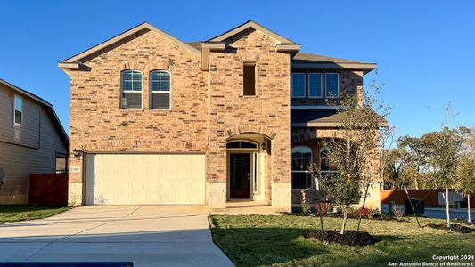 New construction Single-Family house 3585 Copper Crown, Bulverde, TX 78163 The Spicewood- photo 30 30