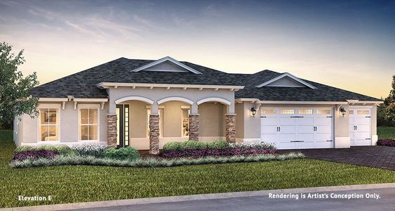 New construction Single-Family house Longleaf Ridge - Brighton, 8447 Southwest 99th Street Road, Ocala, FL 34481 - photo