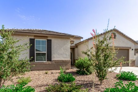 New construction Single-Family house 44455 W Palo Olmo Road, Maricopa, AZ 85138 - photo 8 8