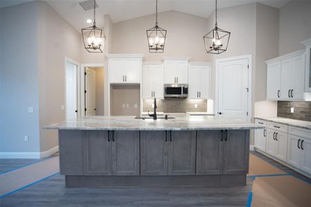New construction Single-Family house 17887 Sw 72Nd Street Road, Dunnellon, FL 34432 - photo 4 4