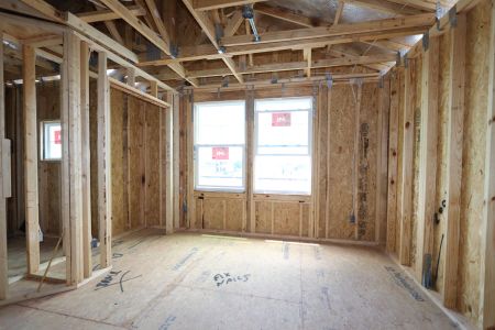 New construction Single-Family house 31835 Sapna Chime Drive, Wesley Chapel, FL 33545 Salinas- photo 40 40