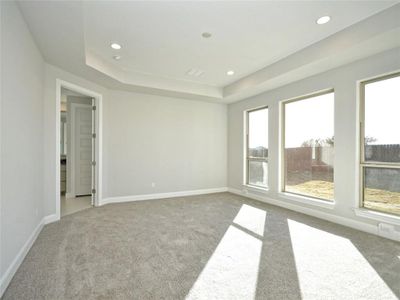 New construction Single-Family house 3400 Emerald Lake Path, Georgetown, TX 78628 - photo 14