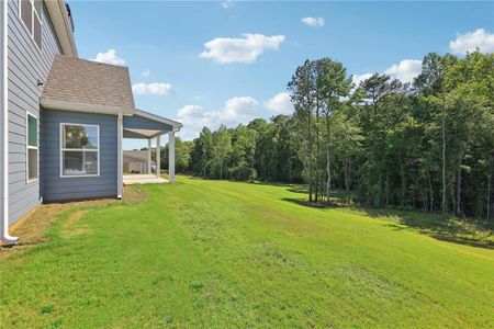 New construction Single-Family house 199 Sagebrook Lane, Newnan, GA 30263 - photo 50 50