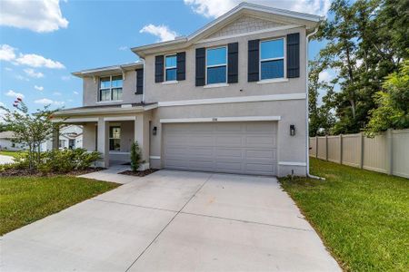 New construction Single-Family house 11136 Se 69Th Terrace, Belleview, FL 34420 - photo 5 5