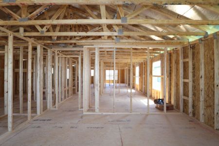 New construction Single-Family house 2881 Misty Marble Drive, Zephyrhills, FL 33540 Castellana- photo 19 19
