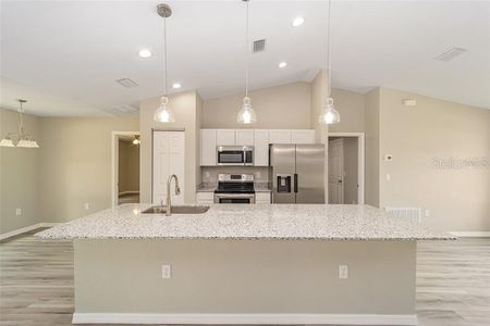 New construction Single-Family house 61 180th Circle, Dunnellon, FL 34432 - photo 3 3