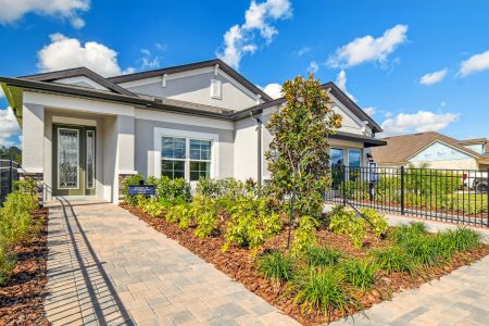New construction Single-Family house 888 Hillshire Place, Spring Hill, FL 34609 Picasso- photo 57 57