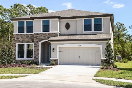 New construction Single-Family house 14641 Gallop Run Drive, Lithia, FL 33547 - photo 0