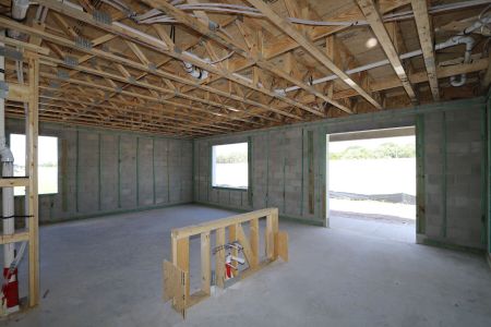 New construction Single-Family house 3077 Misty Marble Drive, Zephyrhills, FL 33540 Castellana- photo 14 14