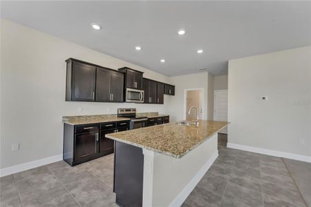 New construction Single-Family house 2019 Fresh Water Street, Leesburg, FL 34748 - photo 8 8