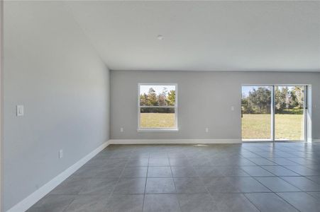 New construction Single-Family house 123 Colchester Place, Kissimmee, FL 34758 - photo 11 11