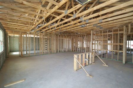 New construction Single-Family house 32568 Sapna Chime Drive, Wesley Chapel, FL 33545 Barcello- photo 25 25