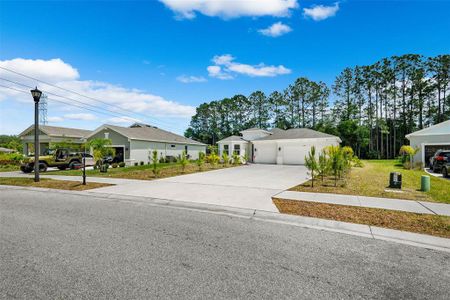 New construction Single-Family house 2909 Gator Crossing Place, New Port Richey, FL 34655 - photo 38 38